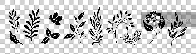 黑色野生植物叶子剪影素材图片素材
