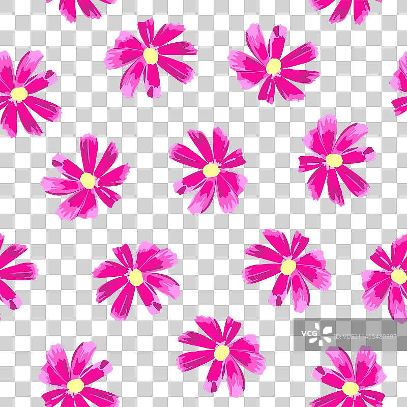 大波斯菊图案图片素材