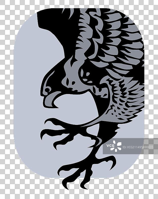 猎鹰捕食图片素材