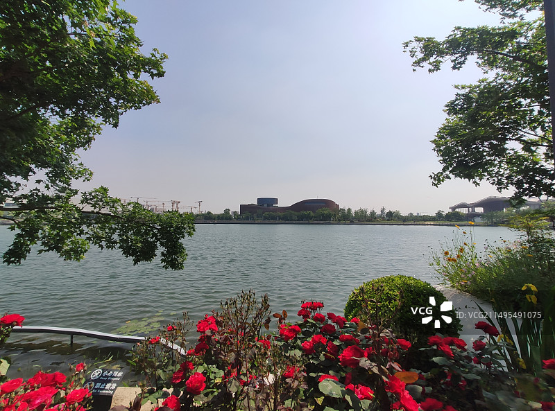 金海湖（上海之魚）图片素材