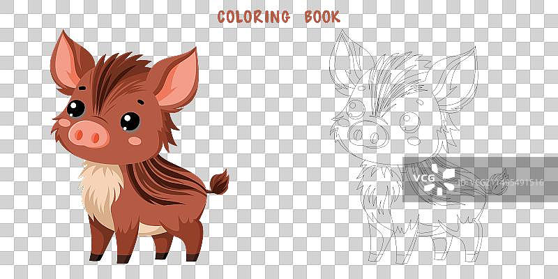 可爱的野猪涂色书图片素材