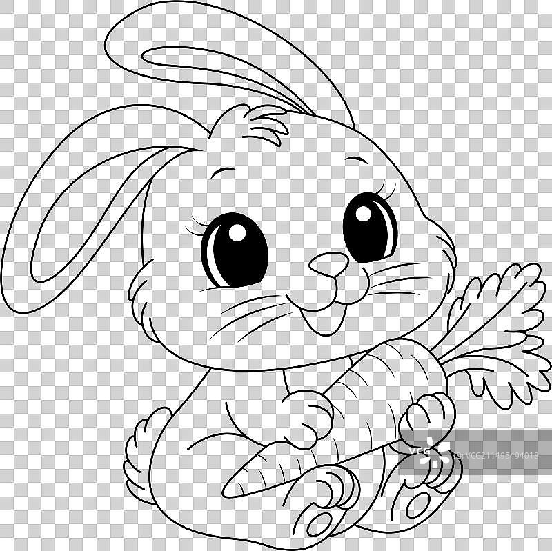 可爱的兔子和胡萝卜涂色页图片素材