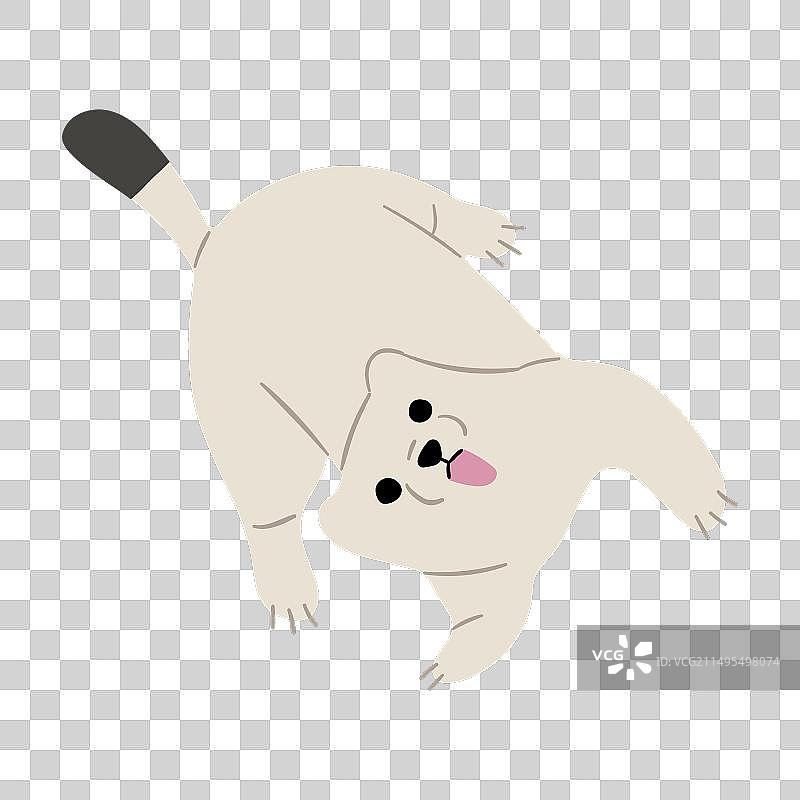 单个银鼠图片素材