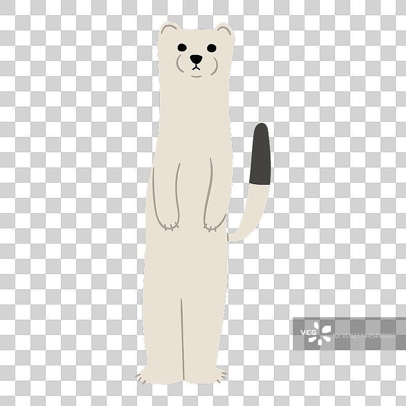 貂皮单品36图片素材