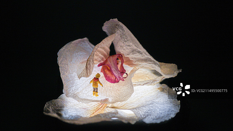 好奇小朋友图片素材