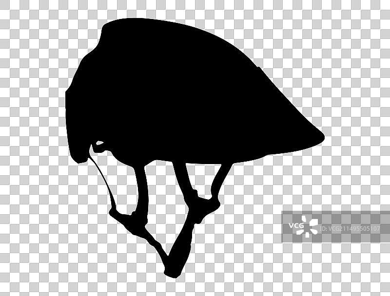 自行车头盔剪影艺术图片素材