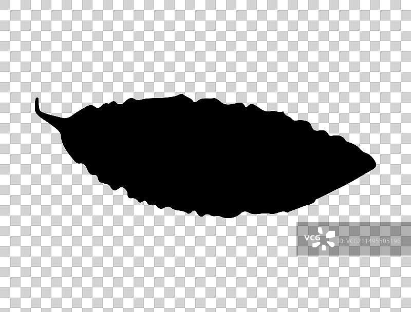 苦瓜剪影艺术图片素材