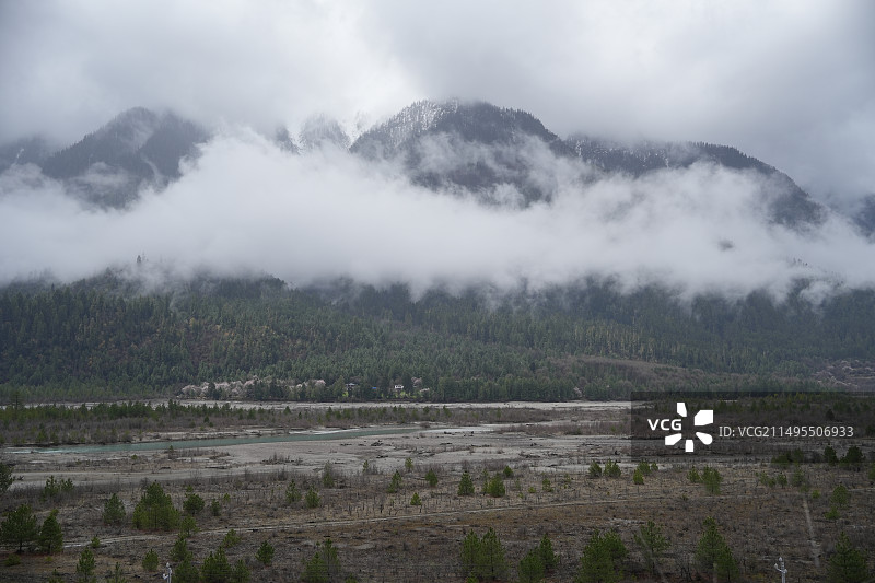 林芝桃花节雪山图片素材