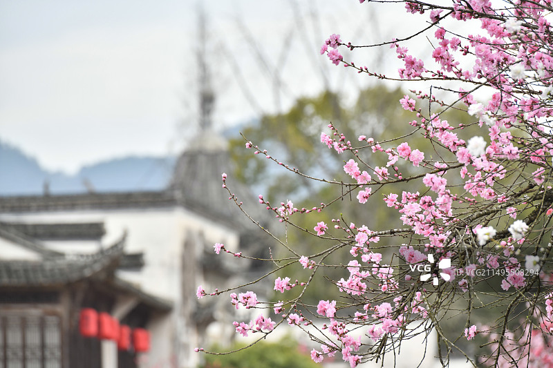 徽州村落歙县雄村竹山书院桃花坝图片素材