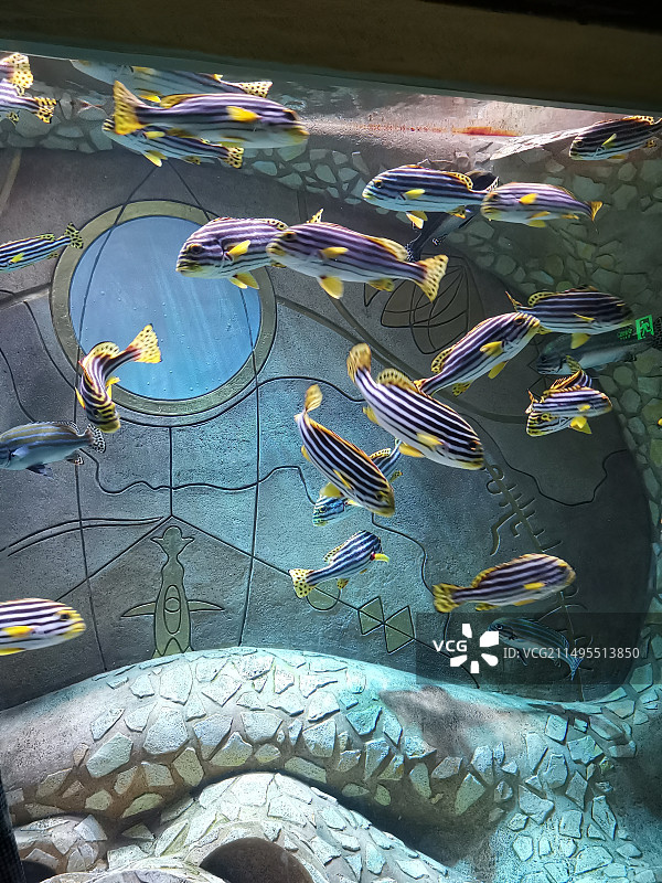 三亚亚特兰蒂斯图片素材