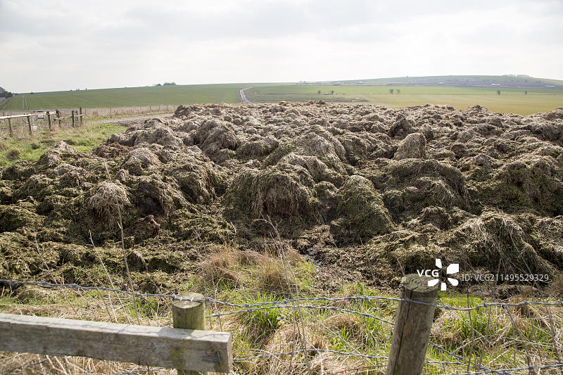 堆放在田地里的有机肥料，准备撒在英国威尔特郡迪韦齐斯附近的白垩丘陵田地上图片素材