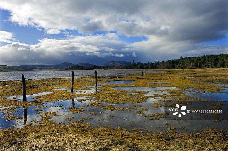 苏格兰戈尔斯皮附近，冬季天空下湖岸边的旧围栏图片素材