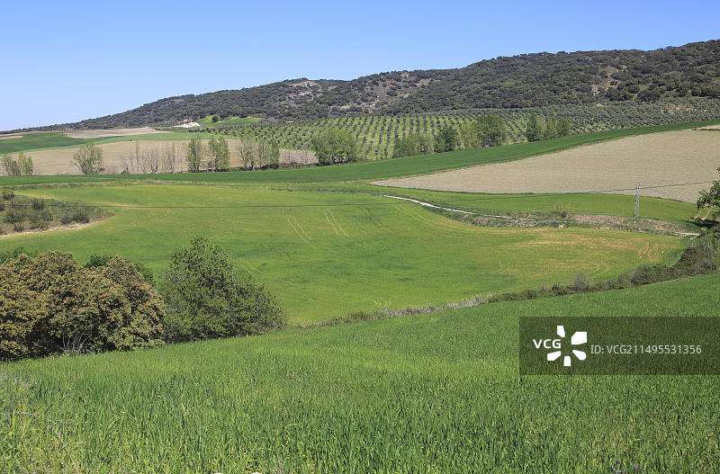 西班牙龙达山区塞特尼尔山谷农业景观图片素材