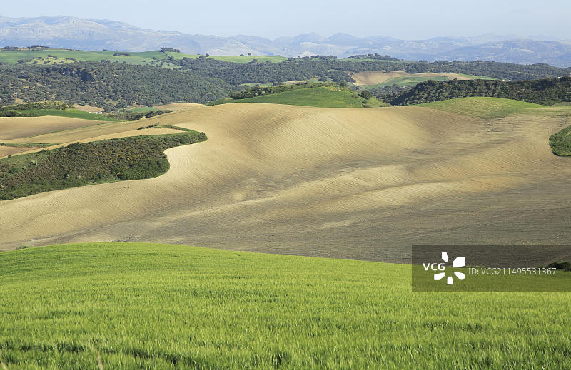 西班牙龙达山区塞特尼尔山谷农业景观图片素材
