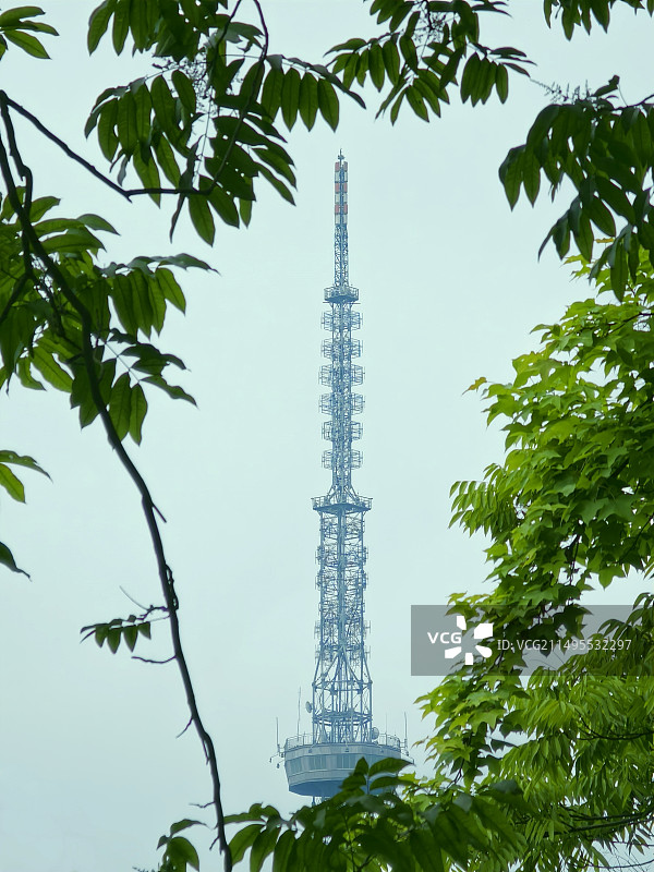 杭州拱墅东河通信塔和树木仰天俯视图图片素材