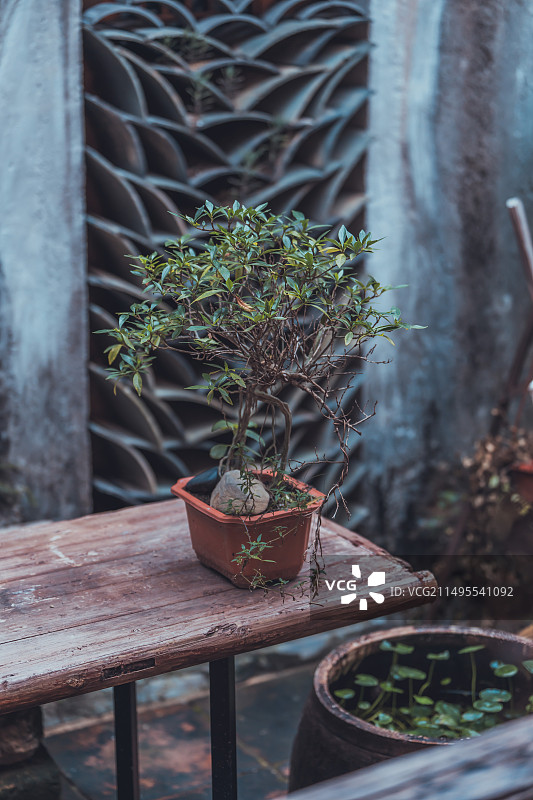 深圳 大鹏所城里的静谧时光图片素材