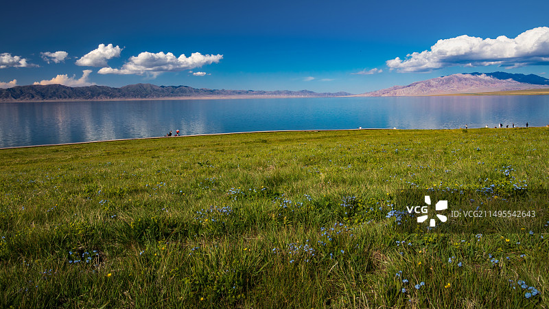 赛里木湖图片素材