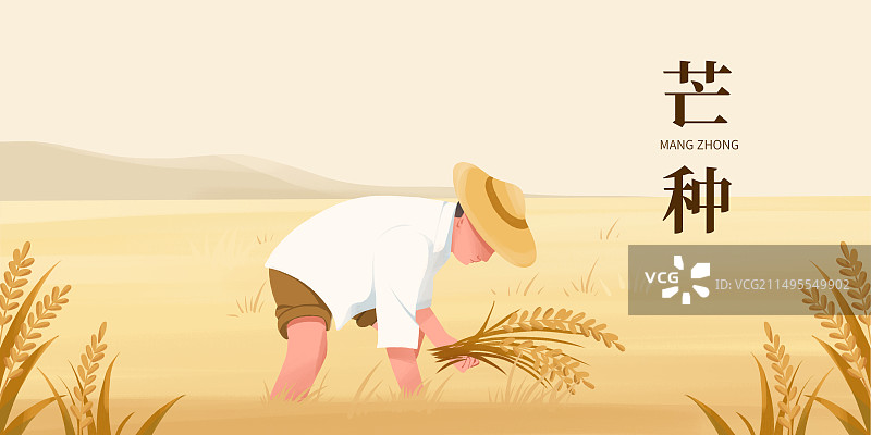 农民在麦田里收割麦子芒种节气手绘扁平风插画海报图片素材