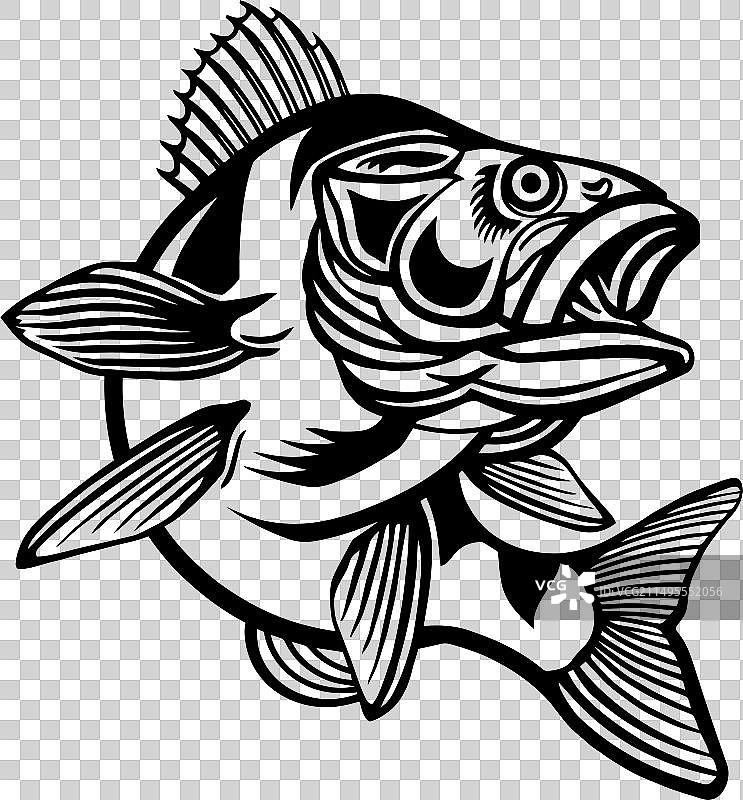 河鲈鱼logo图片素材