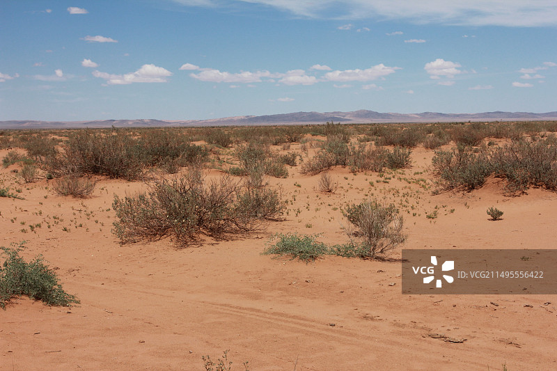 走遍内蒙古野外之阿拉善图片素材
