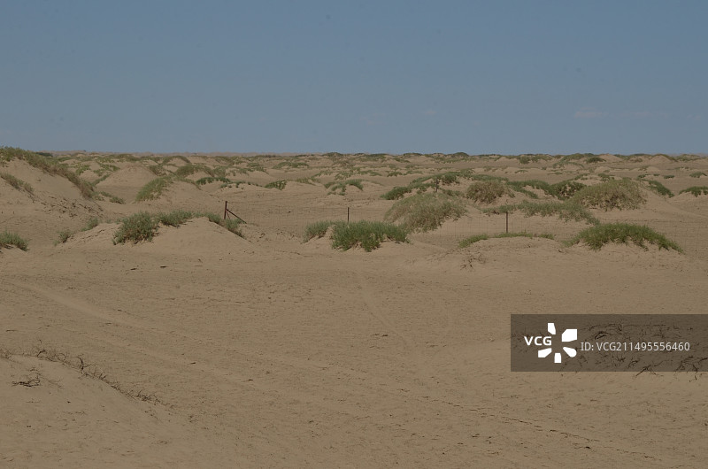 走遍内蒙古野外之阿拉善图片素材