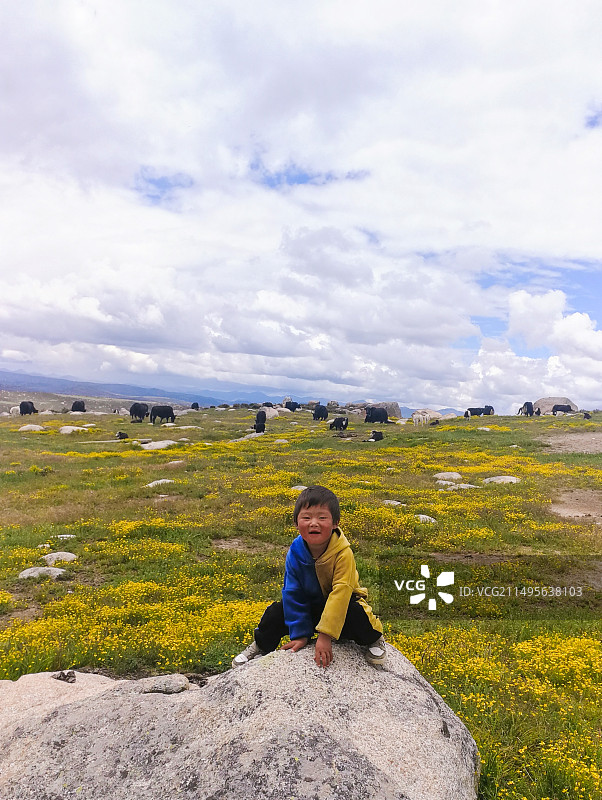 放牛的小男孩图片素材