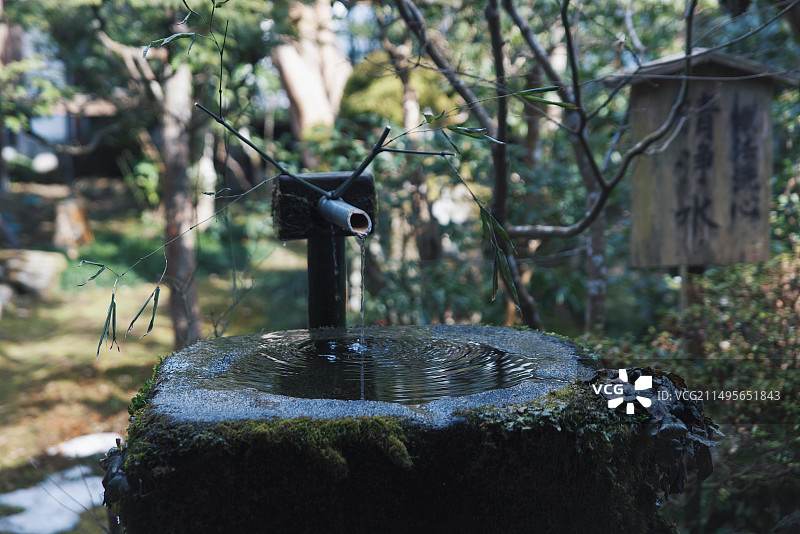 日本京都寺庙日式庭院日式园林流水处 日式庭院石制水池 日式园林图片素材