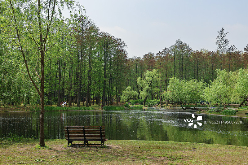 上海共青森林公园平视图图片素材