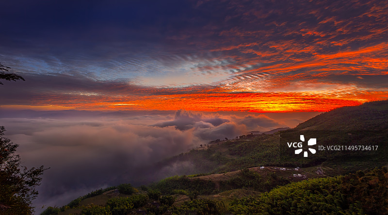 哀牢山冬季晨雾图片素材