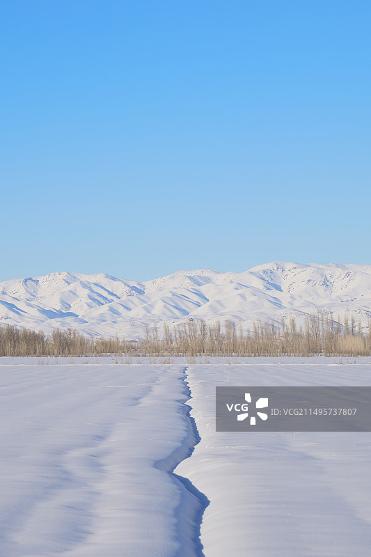 雪山雪原冰雪丛林图片素材