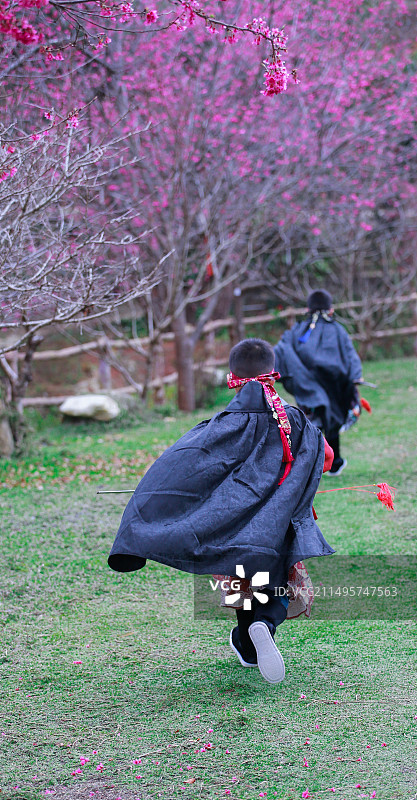 樱花树下追逐的锦衣卫图片素材