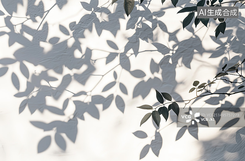 【AI数字艺术】白色开花植物的低角度视图图片素材