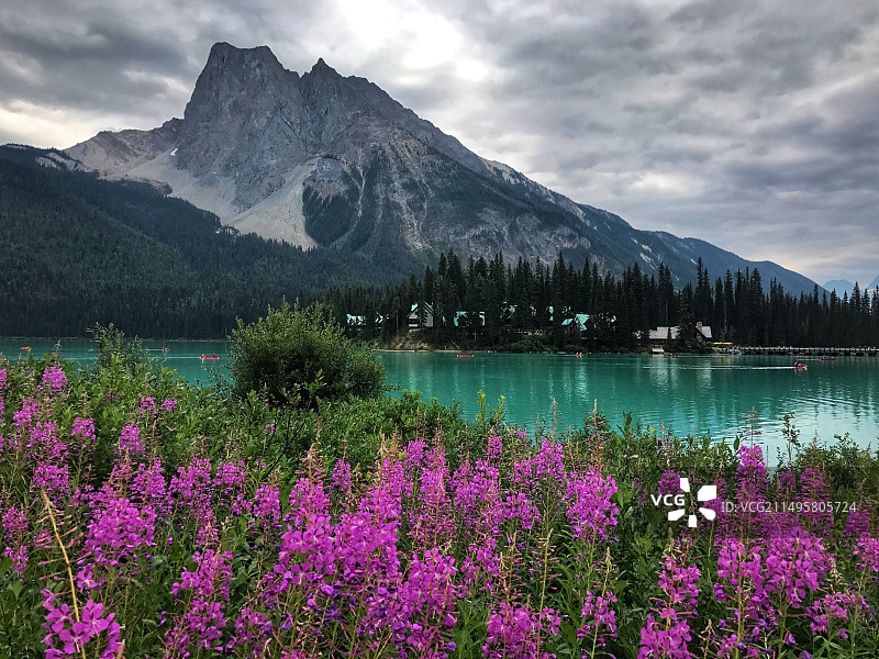 加拿大幽鹤国家公园翡翠湖图片素材