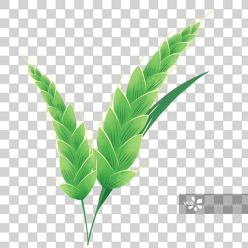 麦田里的麦穗 小麦扁平风插画元素图片素材