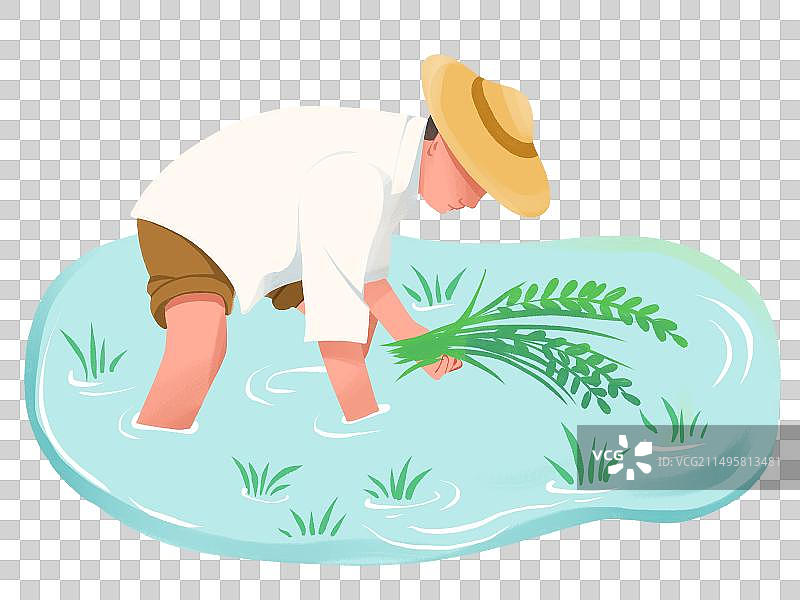 农民种植水稻插秧扁平风插画元素图片素材