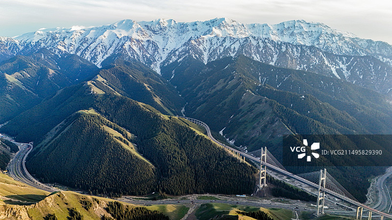 新疆果子沟—伊犁图片素材