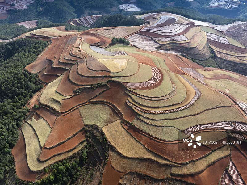 东川红土地风景图片素材