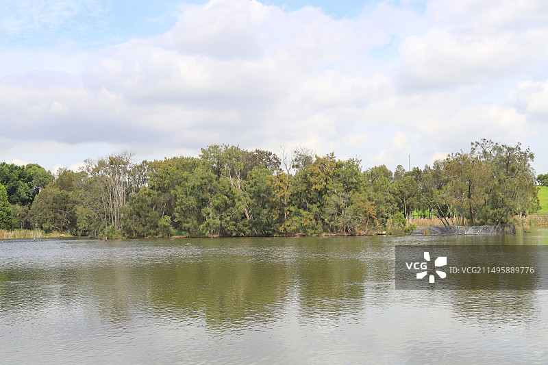 澳大利亚悉尼奥林匹克公园的野生动物保护区图片素材