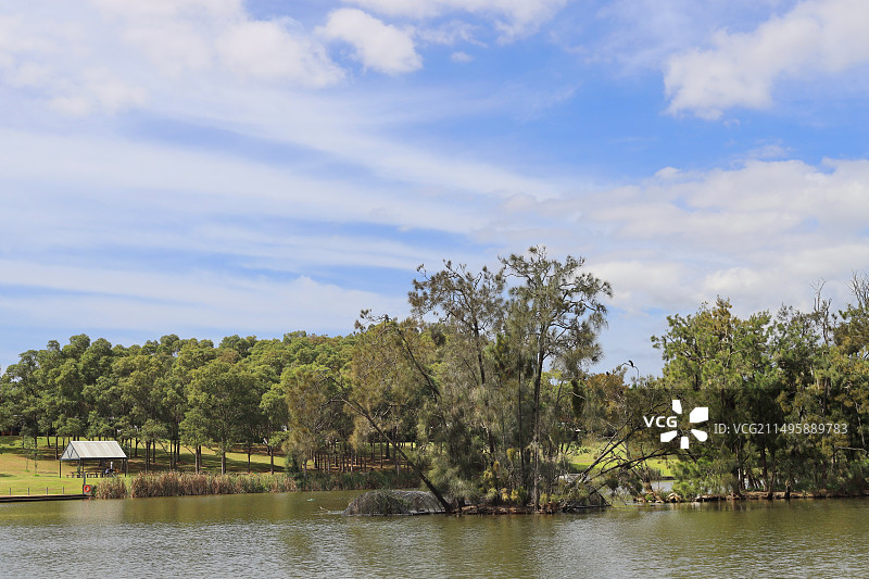 澳大利亚悉尼奥林匹克公园的野生动物保护区图片素材
