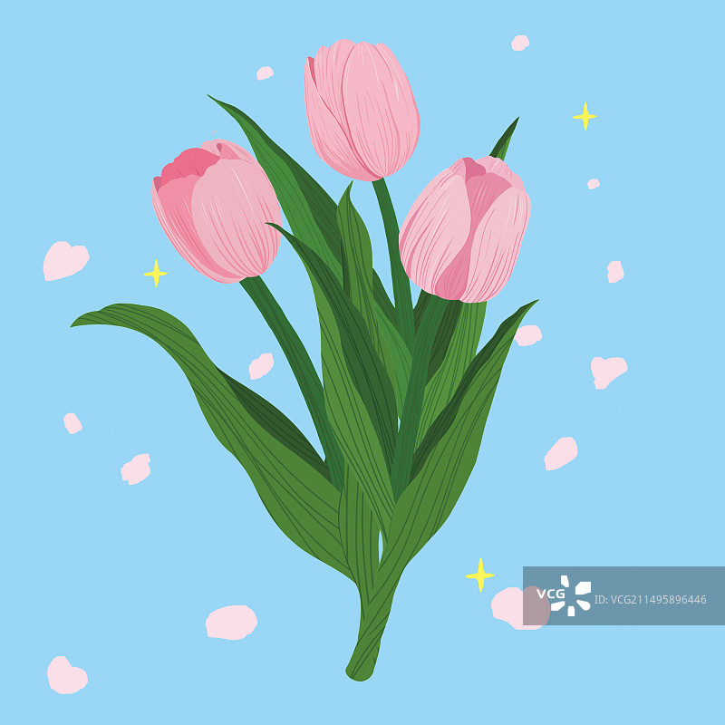 郁金香图片素材