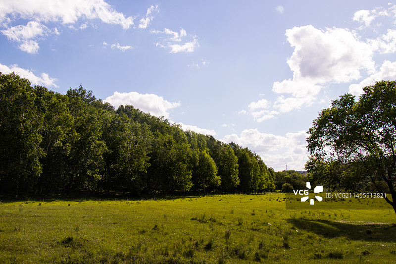 承德围场县塞罕坝森林公园景区图片素材