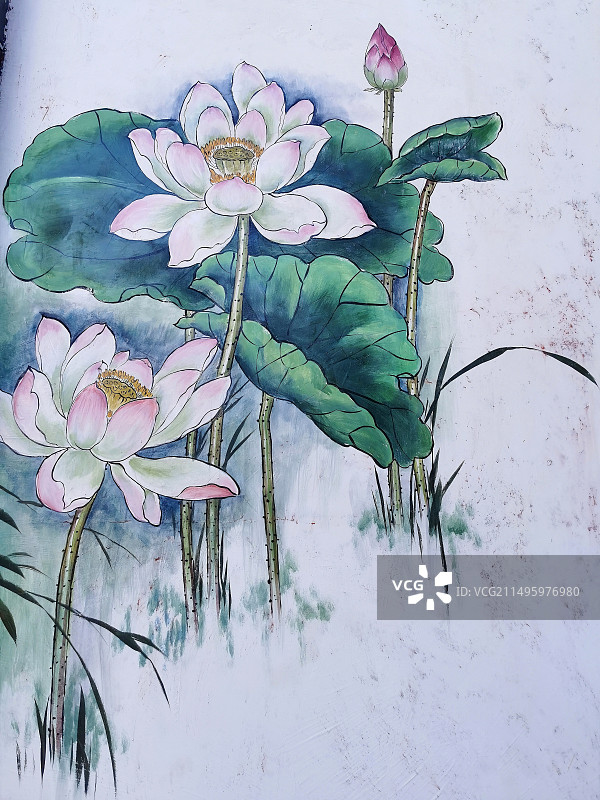 壁画荷花图片素材