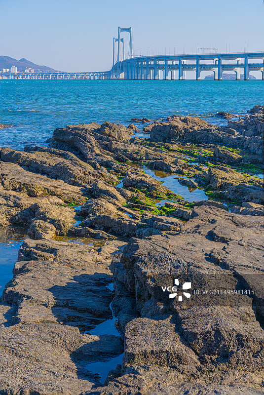大连：星海湾跨海大桥图片素材