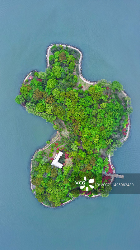 金鸡岛图片素材