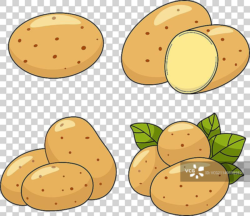 马铃薯蔬菜轮廓图片素材