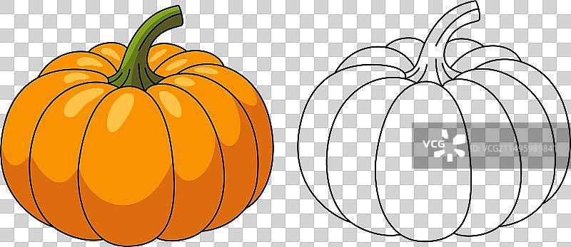 儿童南瓜轮廓着色页图片素材