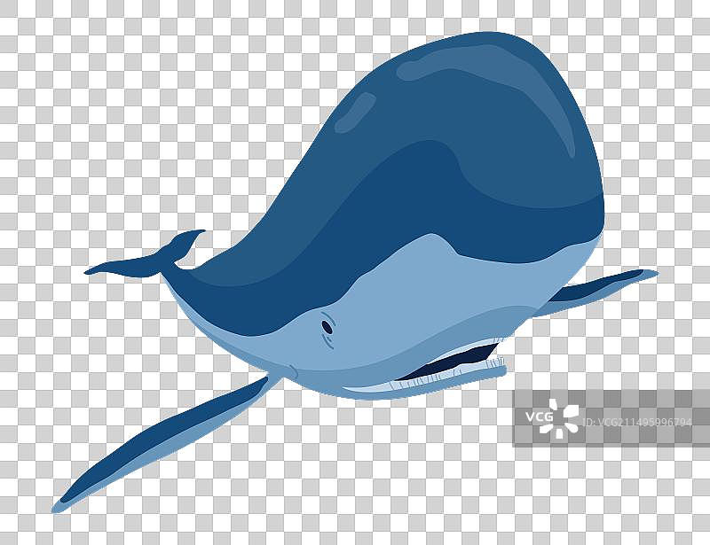 鲸鱼：奇妙的海洋哺乳动物图片素材