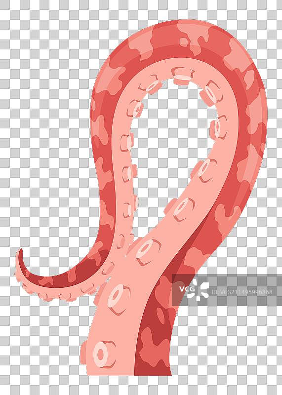 章鱼触手或鱿鱼图标图片素材