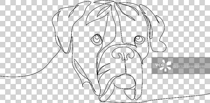 拳师犬品种警卫犬服务犬单线图片素材