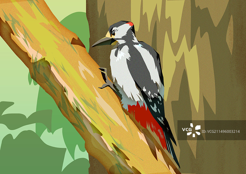 鸟栖息在树枝上的特写镜头图片素材